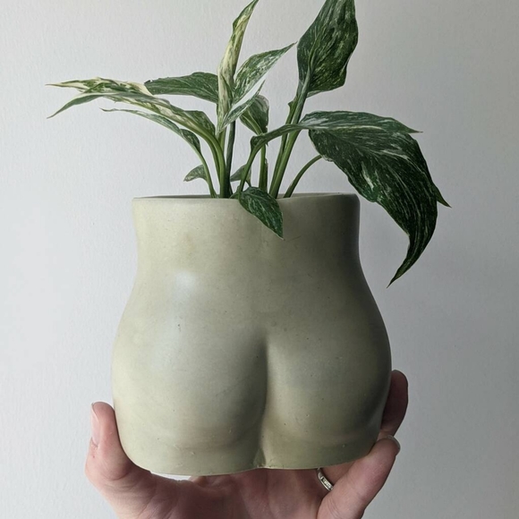 BOOTY VASE - Picture 6 of 15